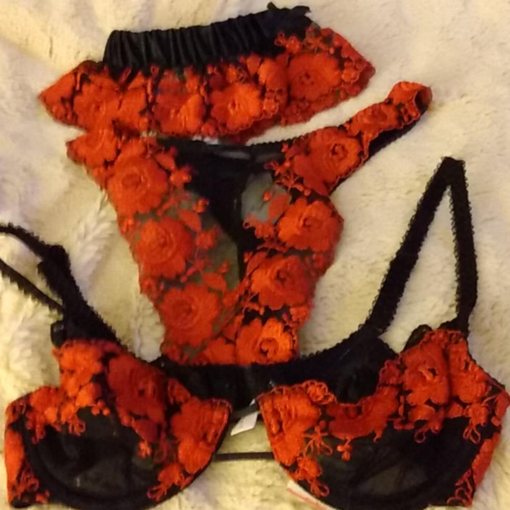VS nwt vintage embroidered lingerie 3 piece set
